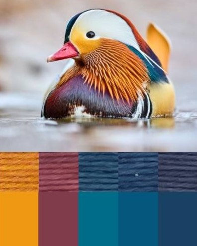 Color Gallery-  Coming Soon